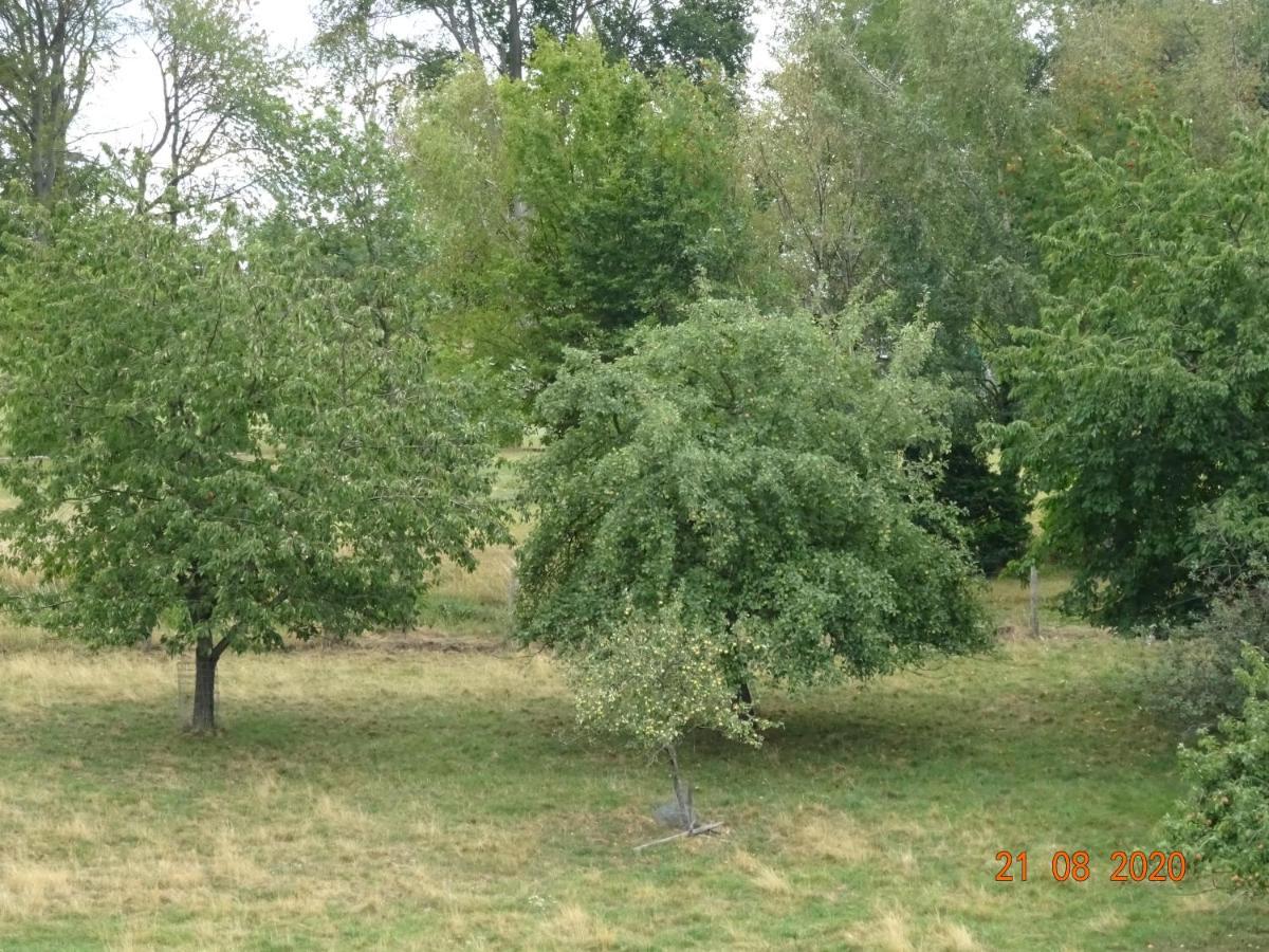 Ferienwohnung Lohrer Nideggen Kültér fotó